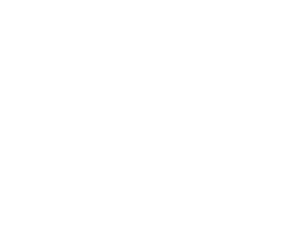 Official dealer